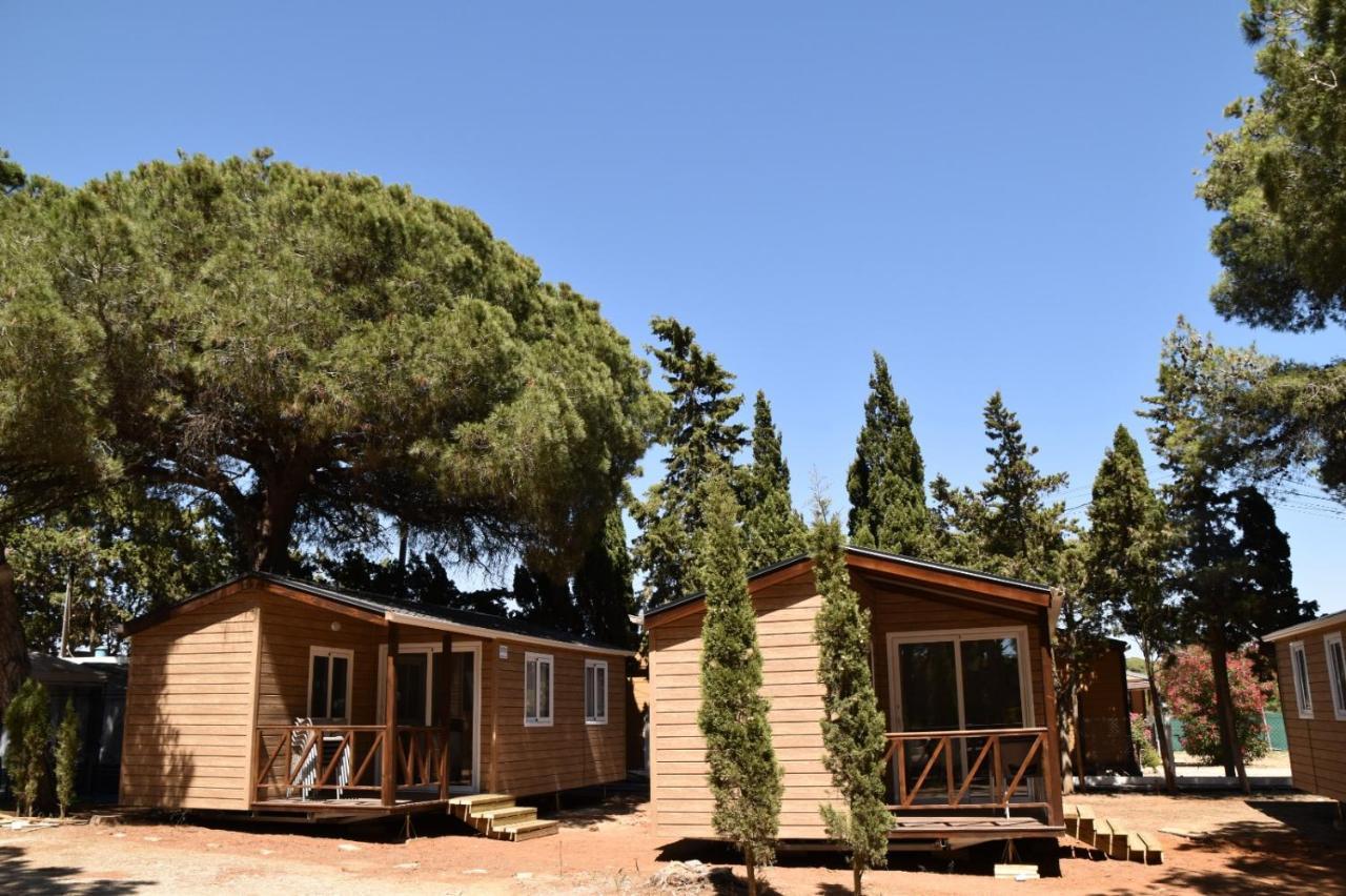 Hotel Taiga Conil Conil De La Frontera Zewnętrze zdjęcie
