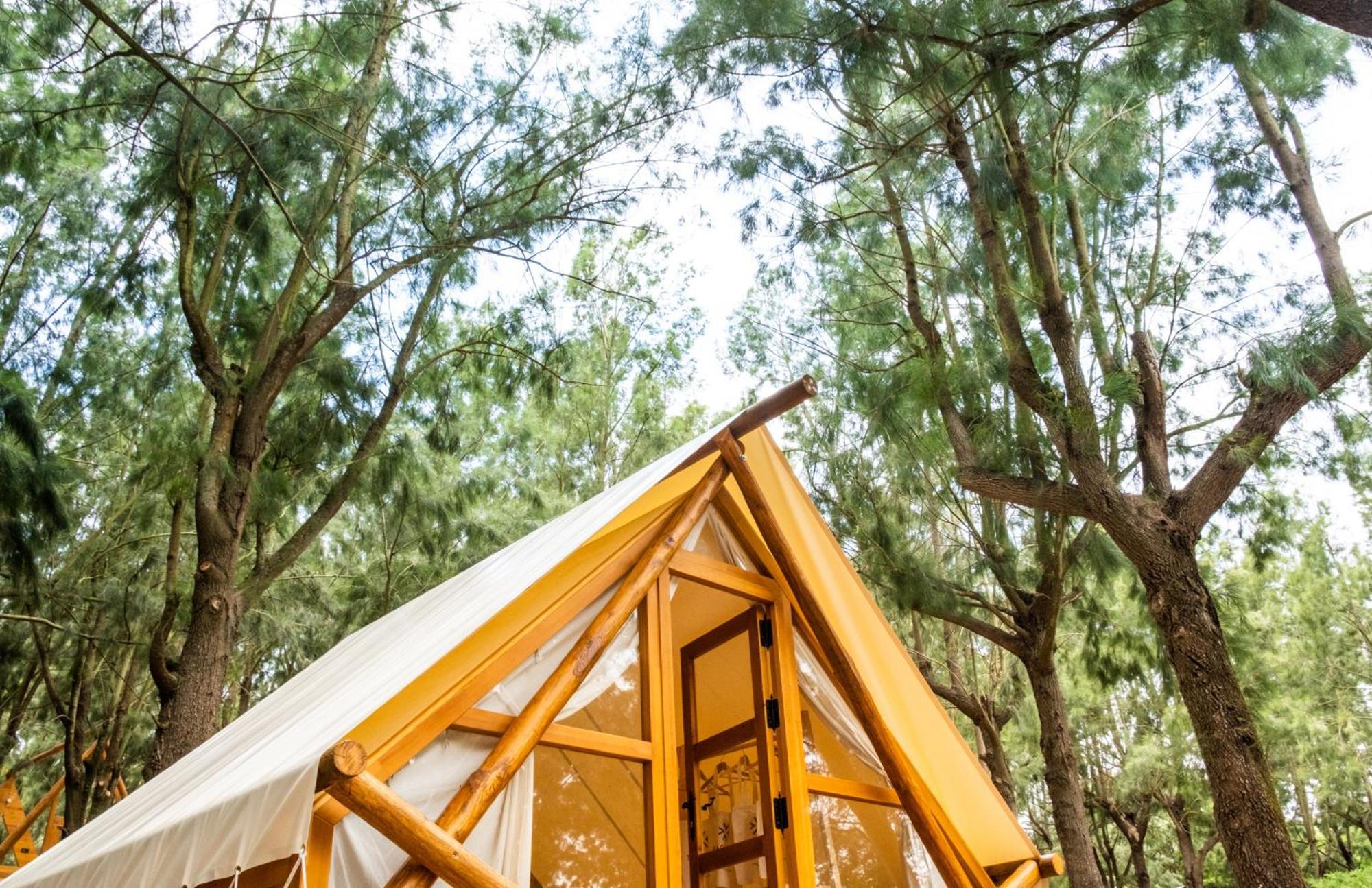 Hotel Taiga Conil Conil De La Frontera Pokój zdjęcie
